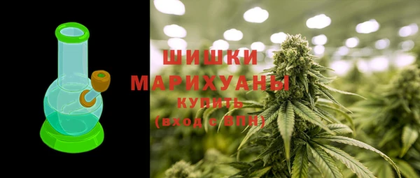 индика Новозыбков