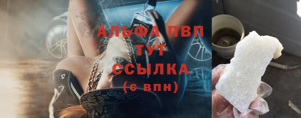 индика Новозыбков