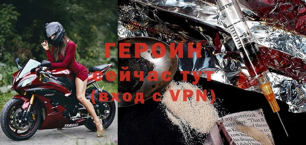 индика Новозыбков