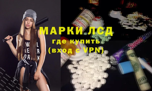 индика Новозыбков