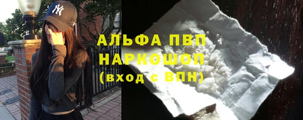 прущие грибы Новокубанск