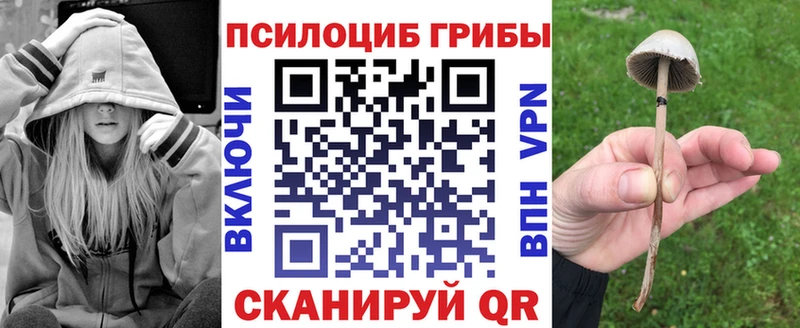 Галлюциногенные грибы GOLDEN TEACHER  купить  цена  Зерноград 