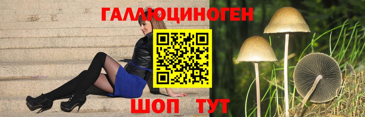Псилоцибиновые грибы Psilocybine cubensis  Зерноград  Псилоцибиновые грибы Psilocybine cubensis 